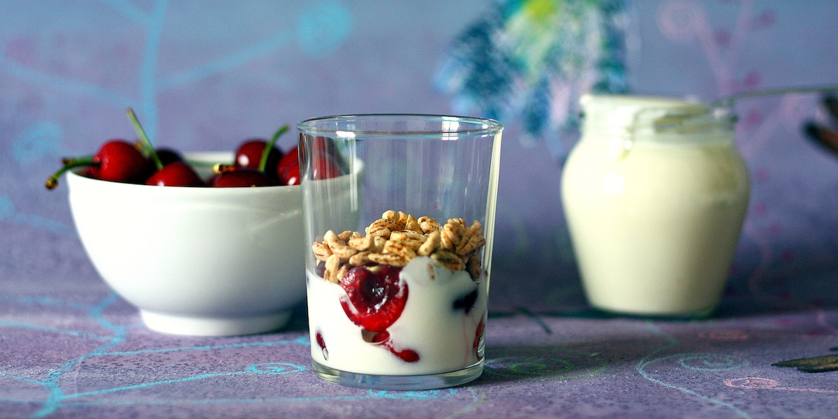 Yogurt fatto in casa